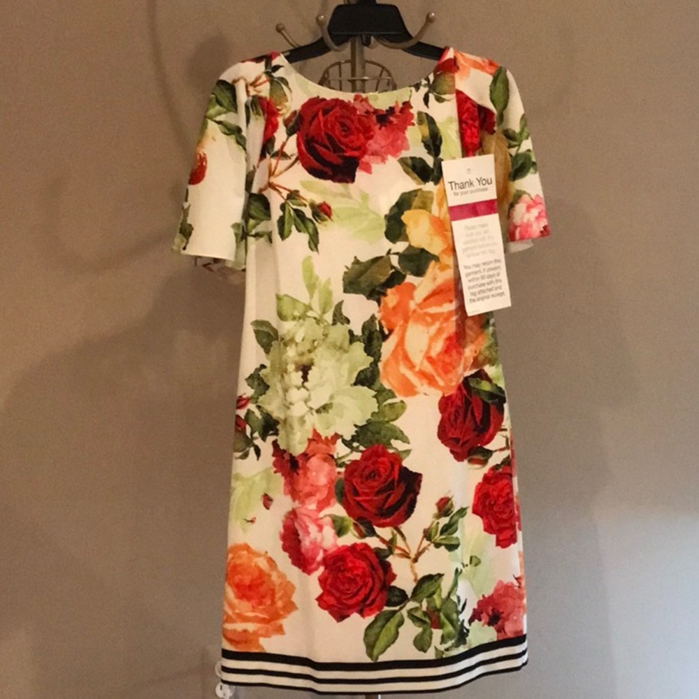 NWT! Gabby Skye Dress